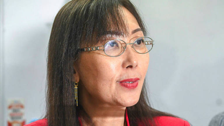 Pakatan welcomes Chinese investment if mutually beneficial: Teresa Kok