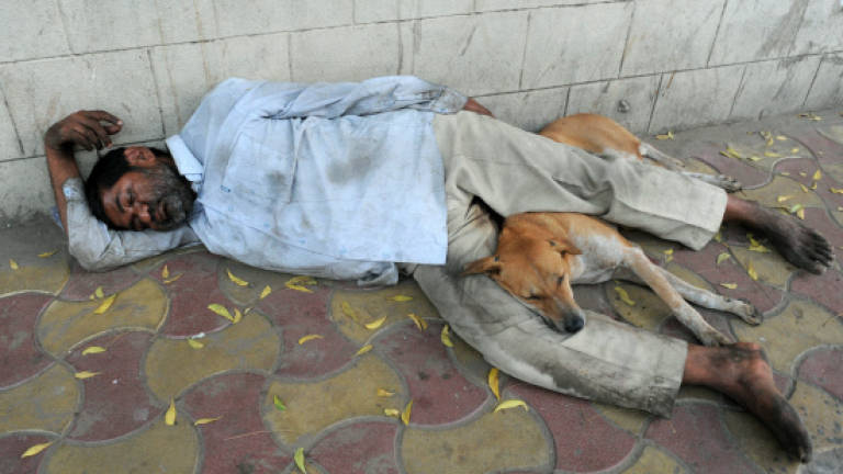 Ruff justice: India stray dogs to form security squad
