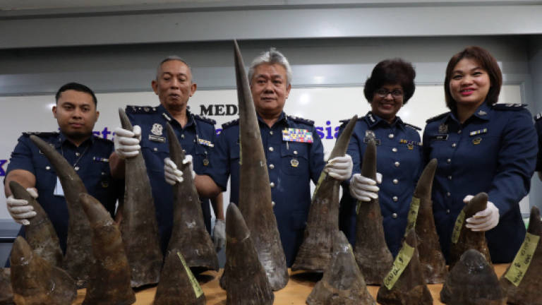 Rhinoceros horns worth RM13m seized at KLIA