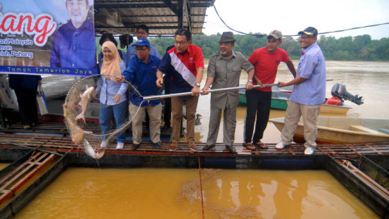 Pahang aquaculture fish production targeted at more than RM270m this year
