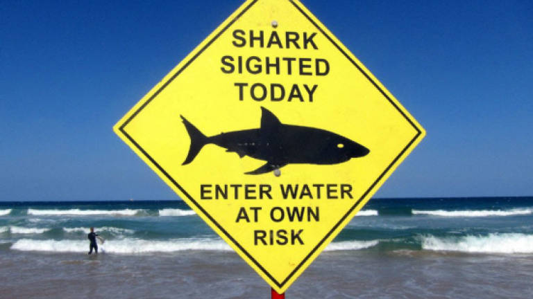 Shark attacks surfer in Australia