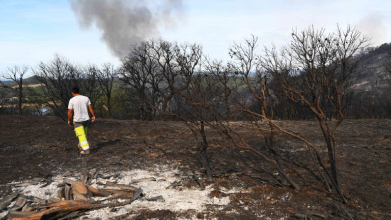 Fires in southern France 'under control'