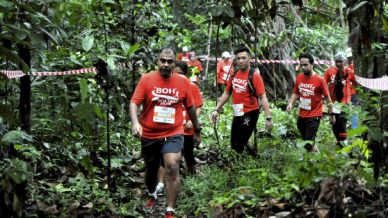BOH Eco Trail 2016 raises RM28,000 for environmental conservation
