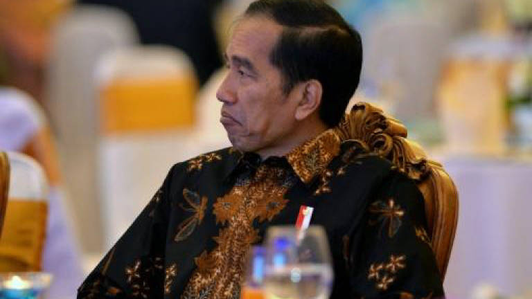 Indonesian leader defends chemical castration for paedophiles