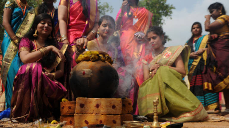 Pongal 'harvest festival' to be celebrated by Indian community throughout the world