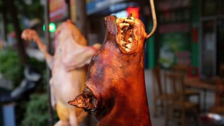 China's dog meat festival opens despite ban rumours
