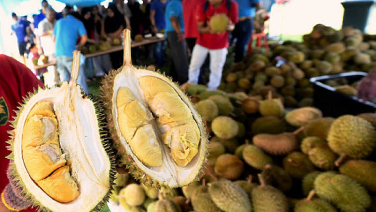 No dumping of durian in Perak