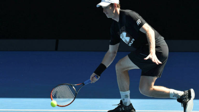 Sir Andy to be treated like 'royalty' in Melbourne