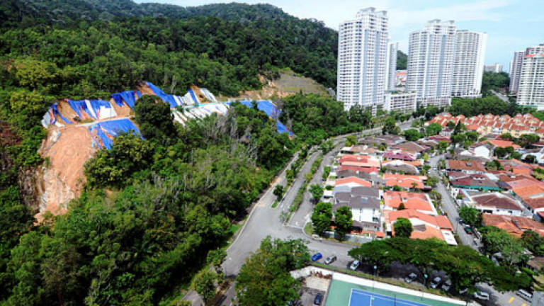Consumers Association of Penang wants all hill-related projects stopped