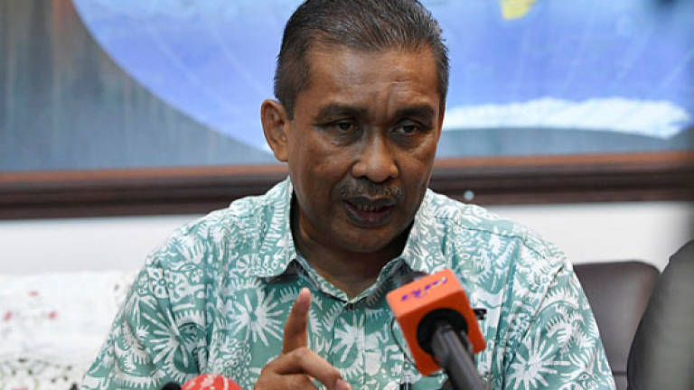 PAS to set up government advisory council for Kelantan and Terengganu