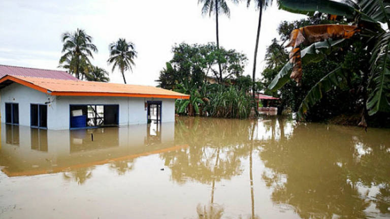 254 flood victims evacuated to relief centres