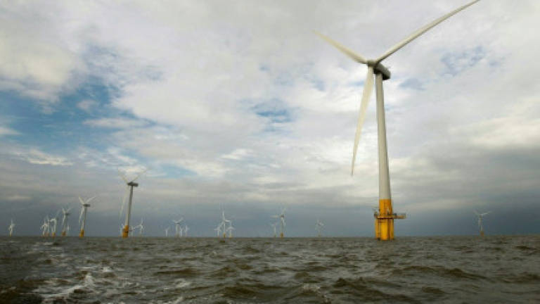 UK wind electricity cheaper than nuclear: Data