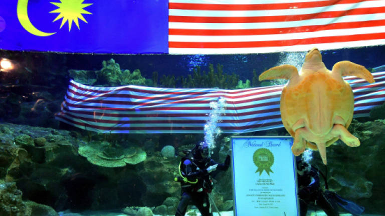 Aquaria KLCC creates record with longest Jalur Gemilang in aquarium