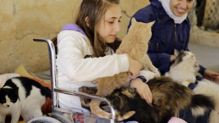 Shelter lends helping paw to animal victims of Syria war