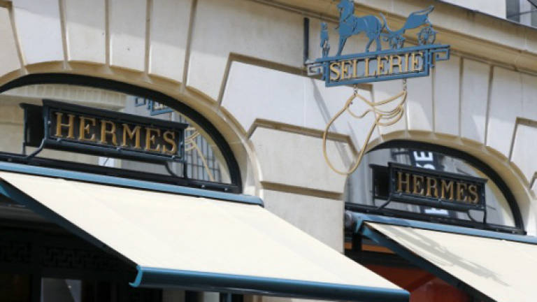 Hermes hit by ostrich farm cruelty claims