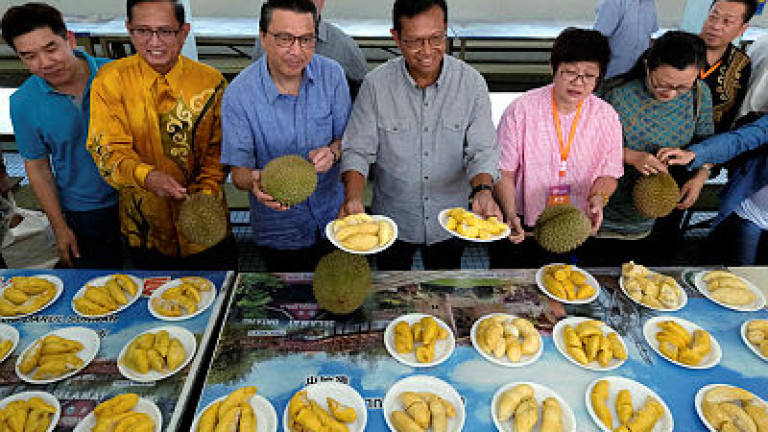 International durian fest, new event in Bentong tourism calender