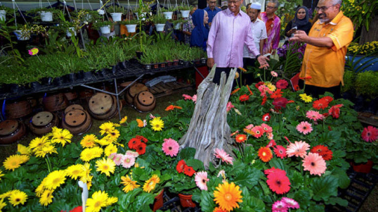 2017 Flower and Orchid Fiesta opens in Negri Sembilan tomorrow