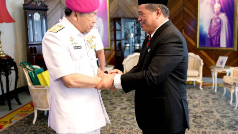 Sultan Sharafuddin grants audience to Defence Minister