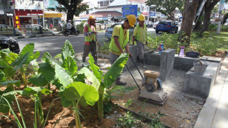 Pulau Tikus to become Penang's first environmental neighbourhood