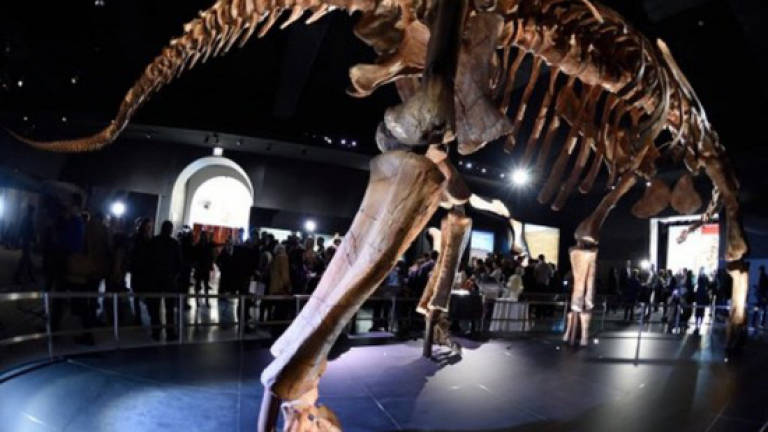 Colossal new dinosaur species gets scientific name Colossal new dinosaur species gets scientific name