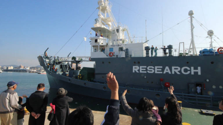 Japan fleet sets sail for Antarctic whale hunt