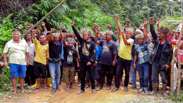 Two journalists, 16 Orang Asli detained by Forestry Dept: Siti Kasim (Updated)