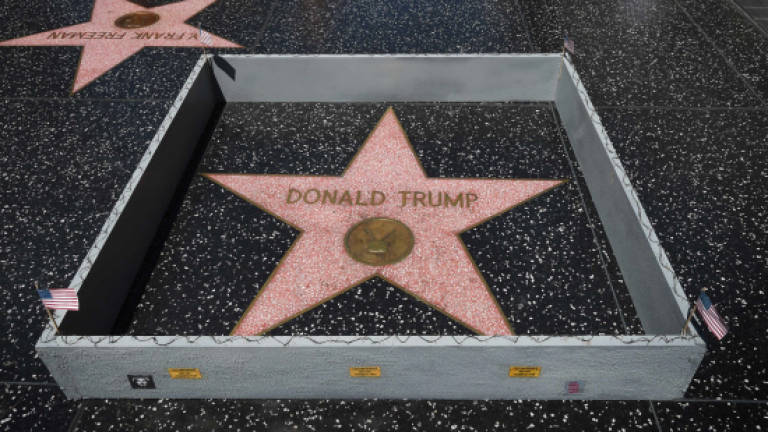 Artist builds wall around Trump's Hollywood star