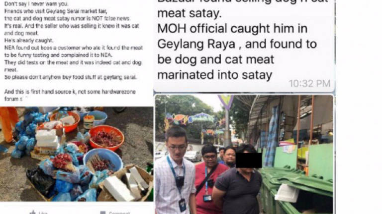 Geylang dog, cat meat rumours refuse to die