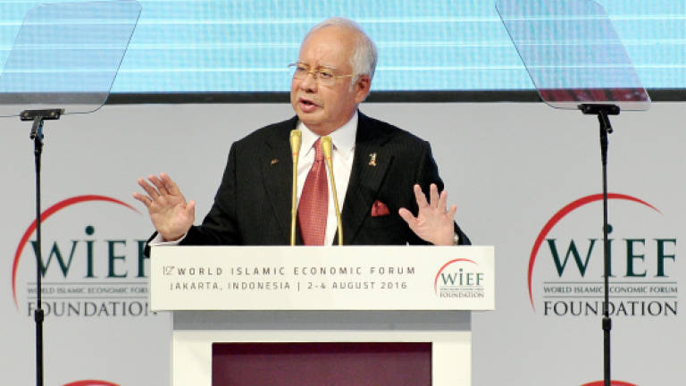 Muslim world should reject foreign intervention: Najib
