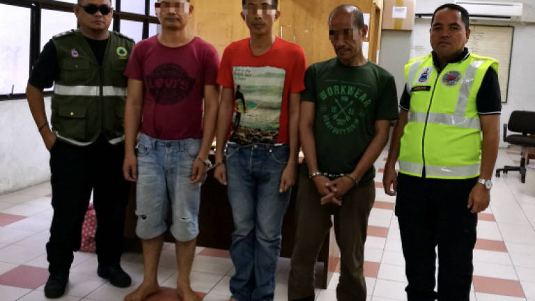 Three Filipino turtle egg sellers jailed