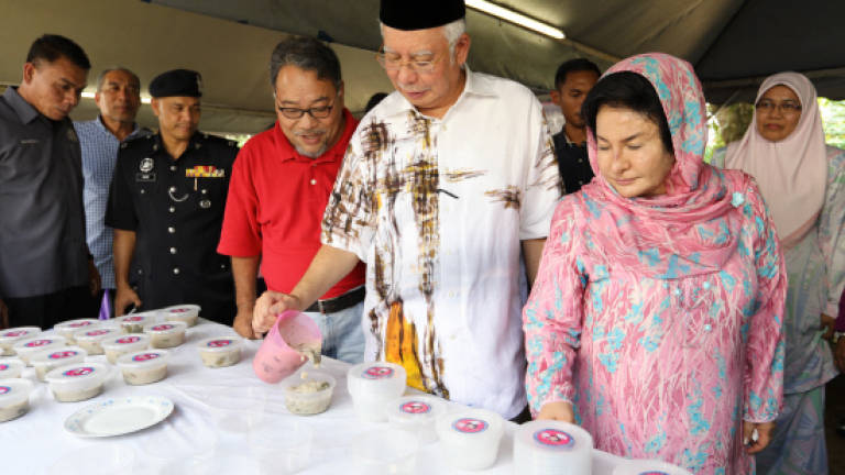 Govt will continue to ensure Felda community's welfare is protected: Najib