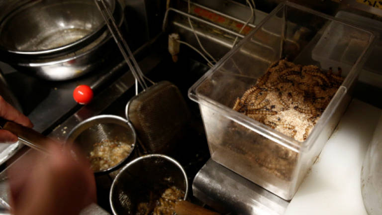 A dash of bugs with that? Insect-topped noodles sell out in Tokyo