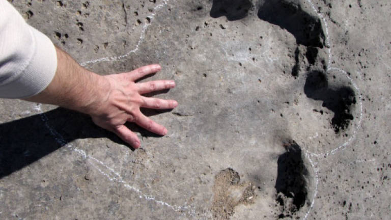 Huge dinosaur footprint found in Bolivia