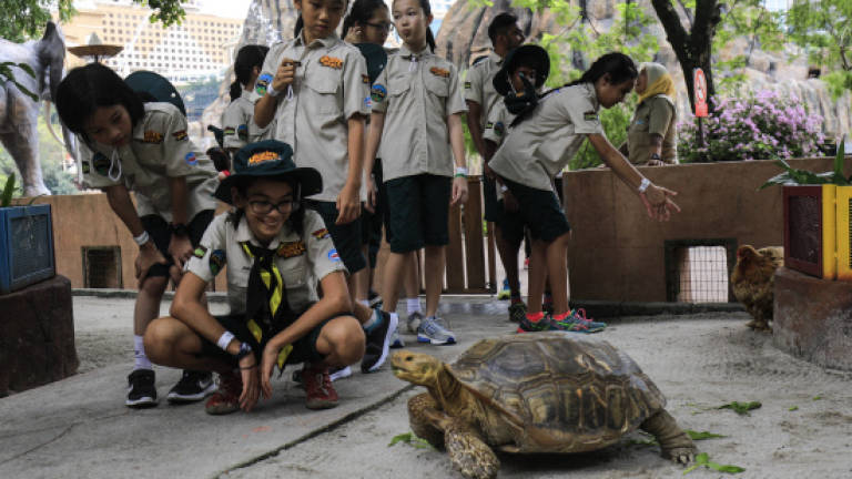 Young Wildlife Heroes return to theme park