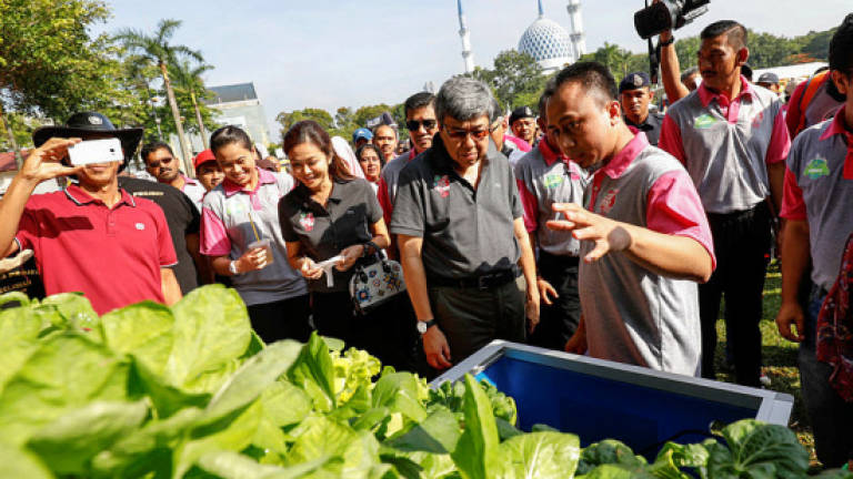Selangor Ruler and consort grace Shah Alam's Car-Free and Earth Day celebrations