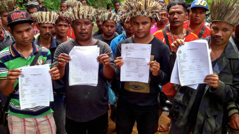 MACC probes Orang Asli complaints on Gua Musang logging