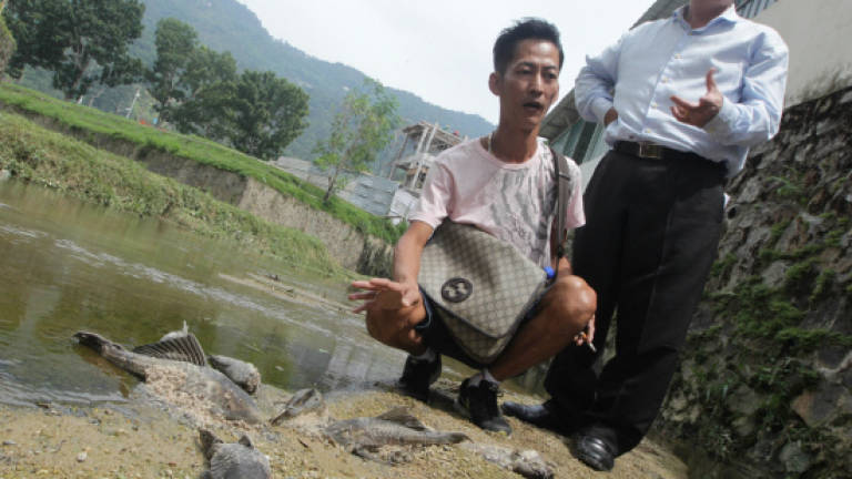 Fishy deaths alert residents of river pollution