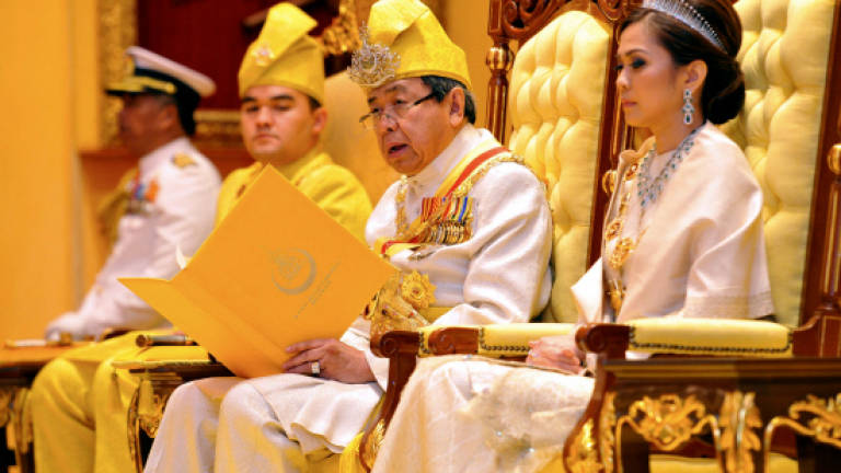 Selangor Sultan warns NGOs against disturbing the country