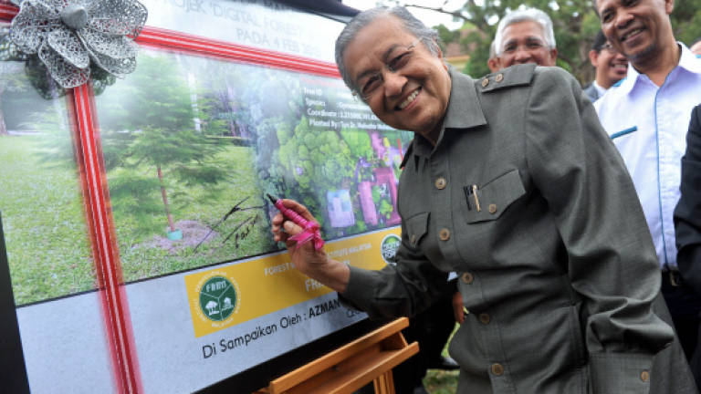 Dr Mahathir: Logging, clearing of forests should be reduced to prevent disasters