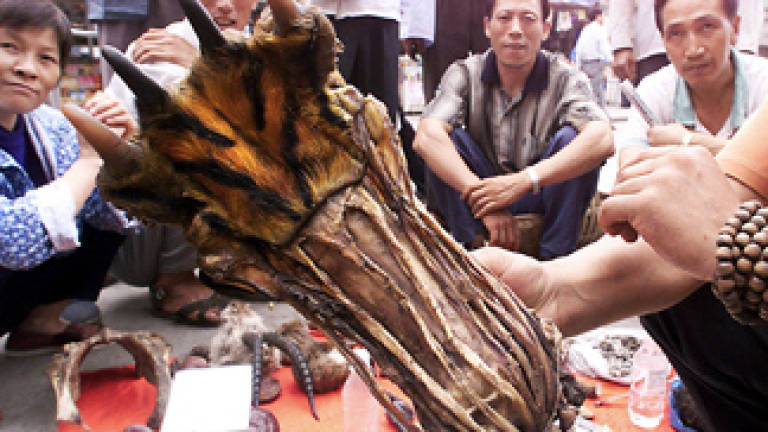 China passes law to 'regulate' wild animal products