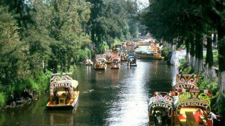 Mexico City fishermen fight to save Aztec floating gardens