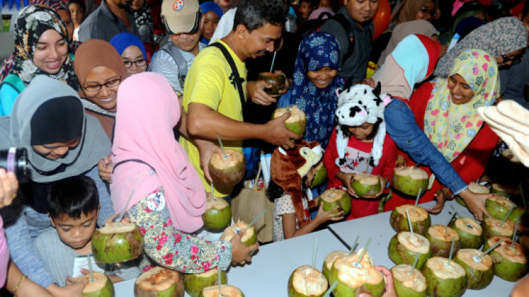 Coconut milk price to rise following increase in price of coconuts
