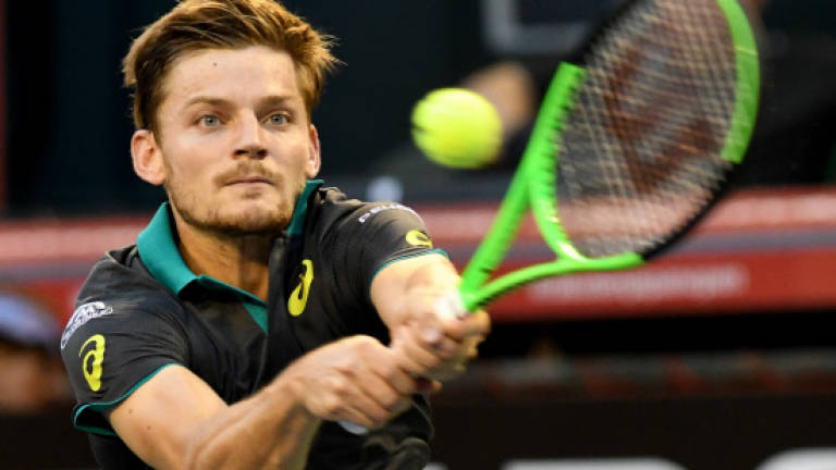 Goffin Claims Japan Open Title