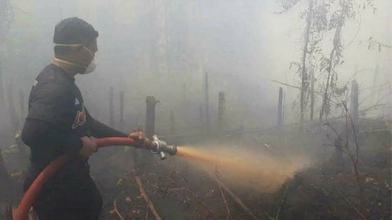 Fire destroys restaurant, squatter homes in Bandar Baru Sentul Fire destroys restaurant, squatter homes in Bandar Baru Sentul