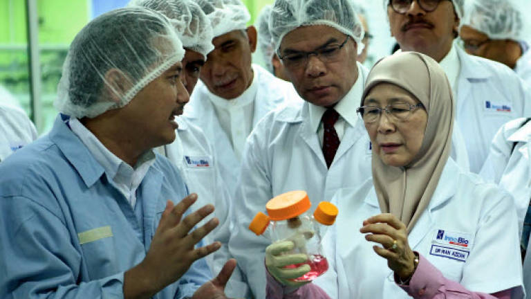 Biosimilar products help reduce cost of medicines: Wan Azizah (Updated)