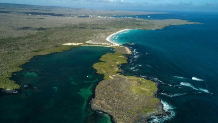 Galapagos fights temptation of lucrative mass tourism