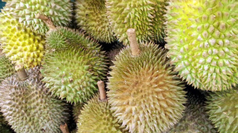 Durian odour triggers patient evacuation at Melbourne hospital