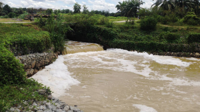 Frothy, smelly wastewater pollute rivers around Nilai, Semenyih