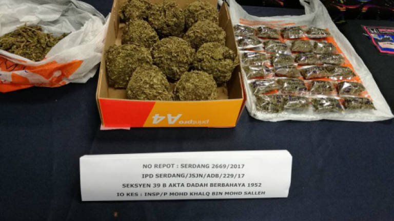 Nigerian chef arrested for distributing cannabis at restaurant