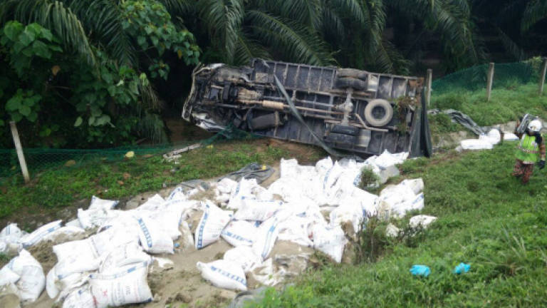 Animal feed scatters on highway as lorry collides with tour bus